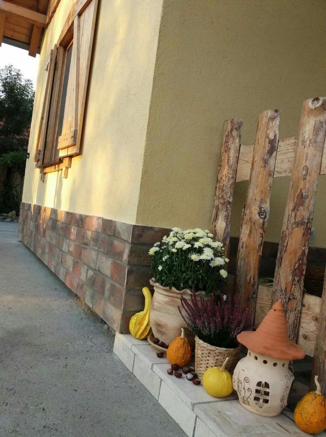 Rita Apartman & Studio Zrenjanin Eksteriør bilde