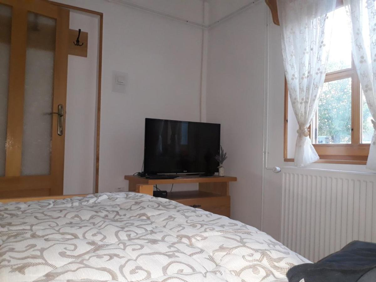 Rita Apartman & Studio Zrenjanin Eksteriør bilde