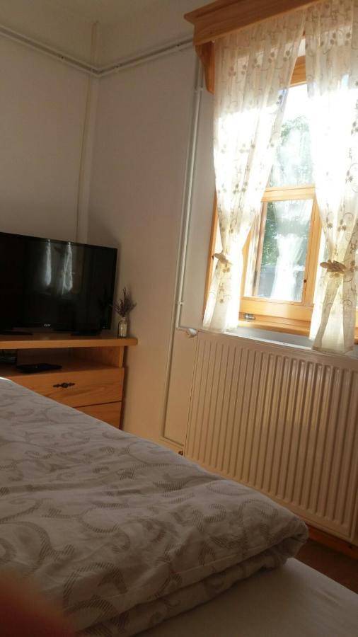 Rita Apartman & Studio Zrenjanin Eksteriør bilde