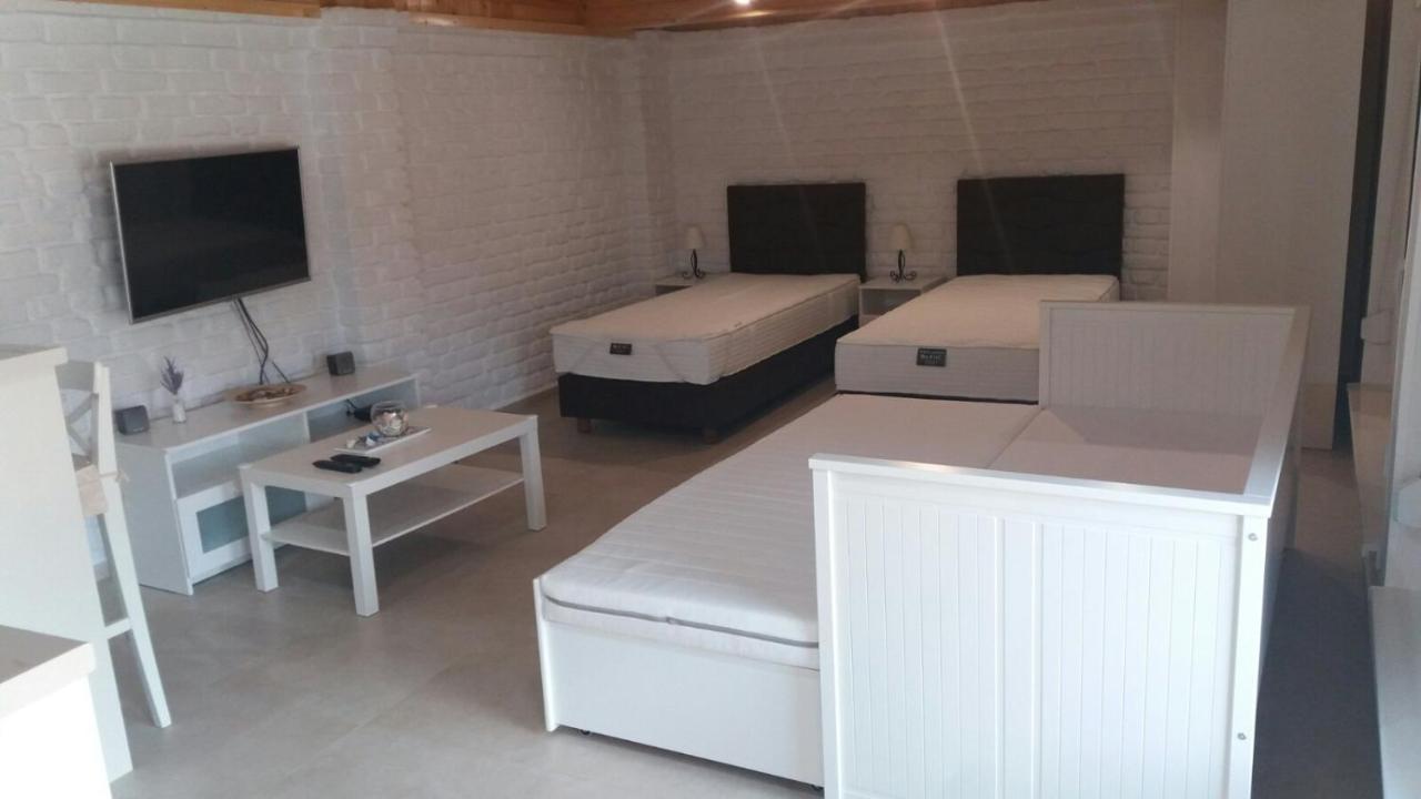 Rita Apartman & Studio Zrenjanin Eksteriør bilde
