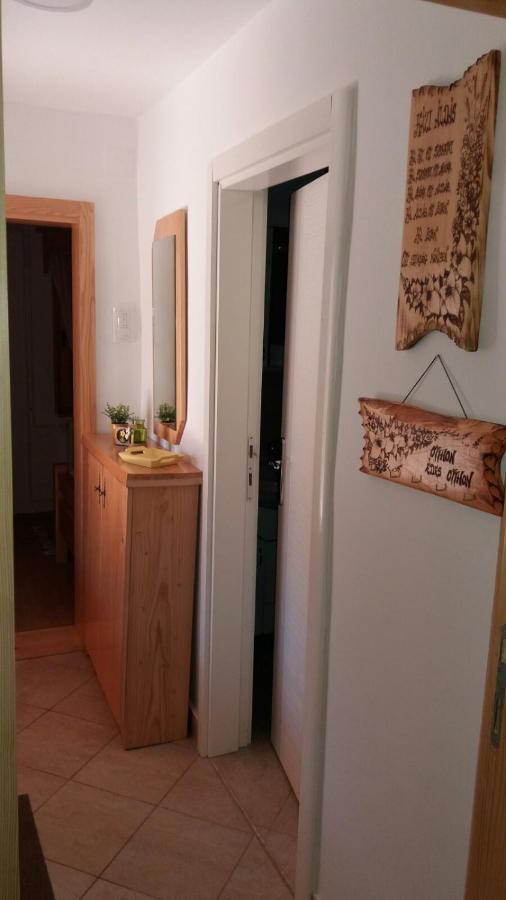 Rita Apartman & Studio Zrenjanin Eksteriør bilde